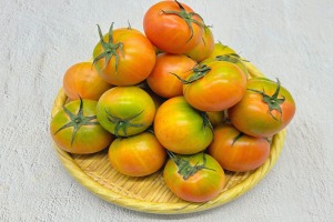 [무료배송] 단독[책임류진우] - 대저 단짠토마토 로얄과 2.5kg/ 단맛, 신맛, 짠맛을 모두 느낄 수 있는 프리미엄 대저 토마토.